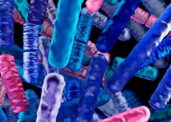 Batteri intestinali: potenti alleati nella lotta contro il cancro