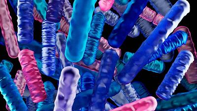 Batteri intestinali: potenti alleati nella lotta contro il cancro