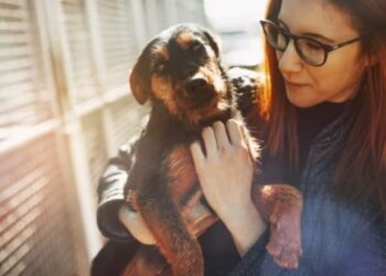 Giornata Mondiale del Cane Adottato: l'importanza di un'adozione responsabile