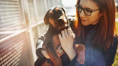 Giornata Mondiale del Cane Adottato: l’importanza di un’adozione responsabile