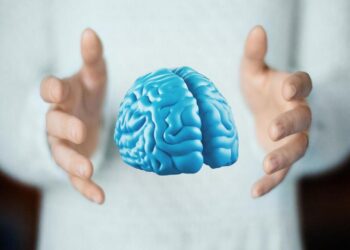 Cervello: scoperte cellule chiave per la memoria e il movimento