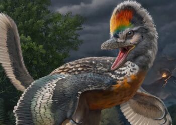Dinosauro aviano: la nuova scoperta rivela segreti dell'evoluzione degli uccelli