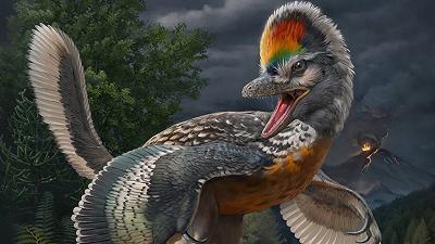 Dinosauro aviano: la nuova scoperta rivela segreti dell’evoluzione degli uccelli