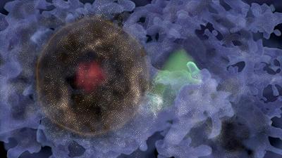 Big Bang: scoperta bolla cosmica dell’estensione di 1 miliardo di anni luce
