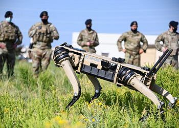 Cani robot: il futuro militare dell'esercito degli Stati Uniti?