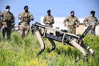 Cani robot: il futuro militare dell’esercito degli Stati Uniti?