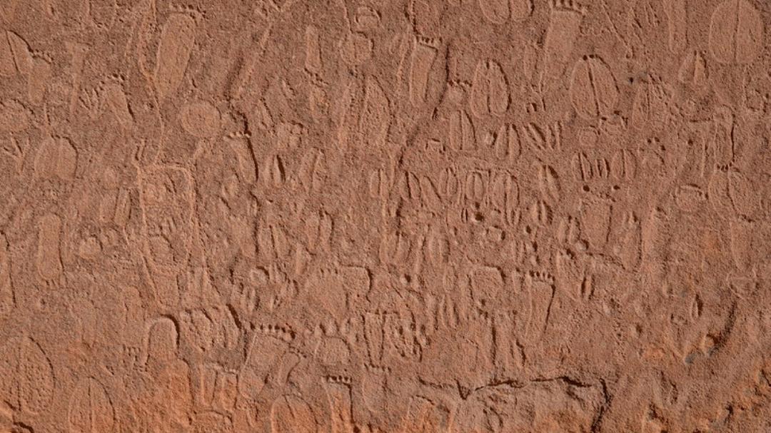 Incisioni rupestri in Namibia: un’enciclopedia vivente di orme