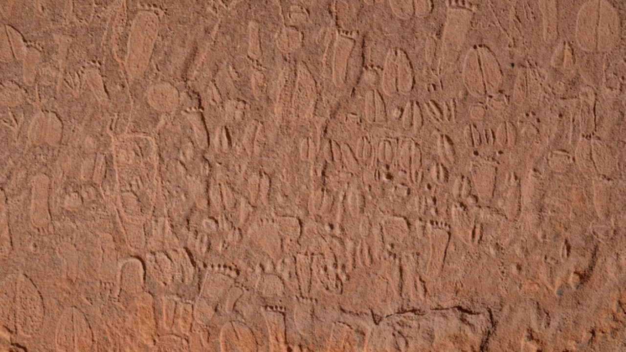 Incisioni rupestri in Namibia: un’enciclopedia vivente di orme