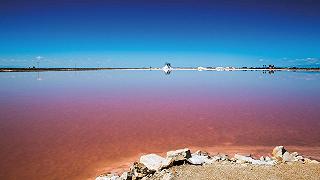 Industria del sale marino italiano: coltivazione sostenibile e biodiversità