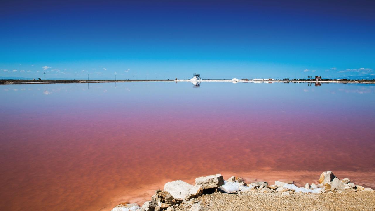 Industria del sale marino italiano: coltivazione sostenibile e biodiversità