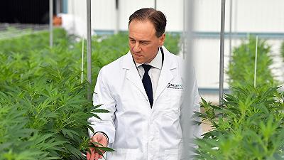 Ennesimo studio sui benefici della Cannabis in pazienti con problemi di salute cronici: la ricerca australiana