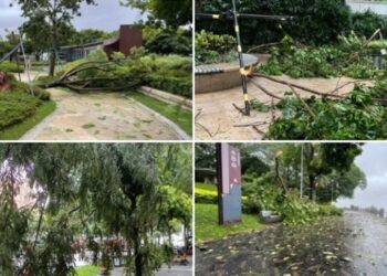 Tifone Saola in Cina meridionale: evacuazioni di massa e preoccupazioni per i danni a Hong Kong