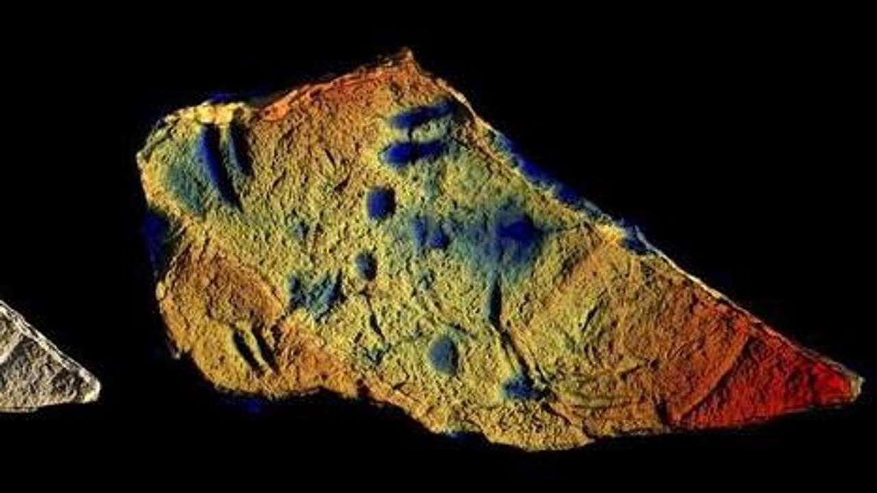 Pesci abissali risalenti a 130 milioni di anni fa: rinvenute tracce fossili