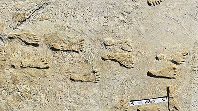 Homo sapiens è stato presente in Nord America durante l’ultima era glaciale: impronte confermate da nuovi test