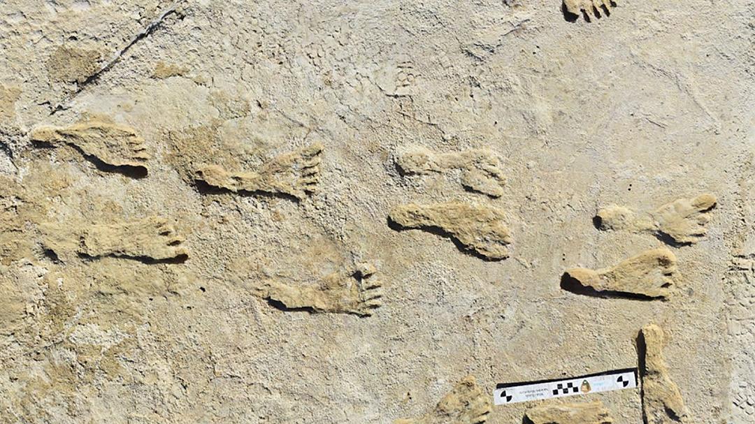 Homo sapiens è stato presente in Nord America durante l’ultima era glaciale: impronte confermate da nuovi test