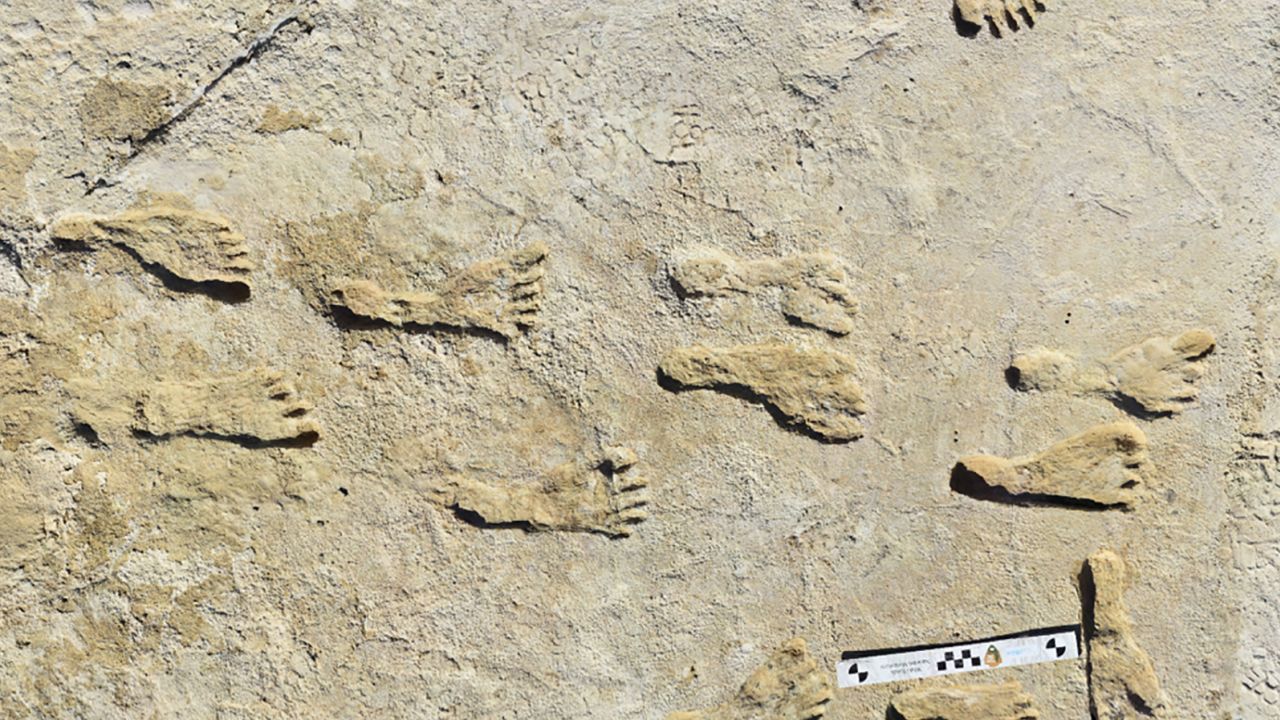 Homo sapiens è stato presente in Nord America durante l’ultima era glaciale: impronte confermate da nuovi test