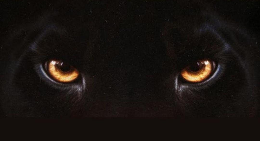 Diabolik – Chi sei?, la recensione: il trionfo della teoria