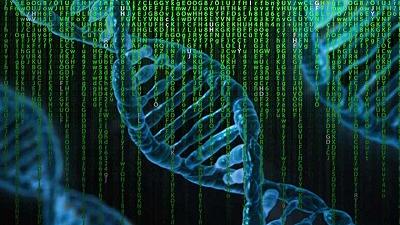 Tumori: il nuovo algoritmo Ascetic ne predice l’evoluzione con dati genetici