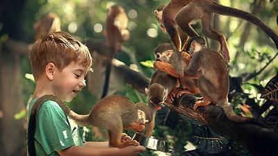 Bambini o scimmie: chi è più curioso? Uno studio rivela differenze sorprendenti