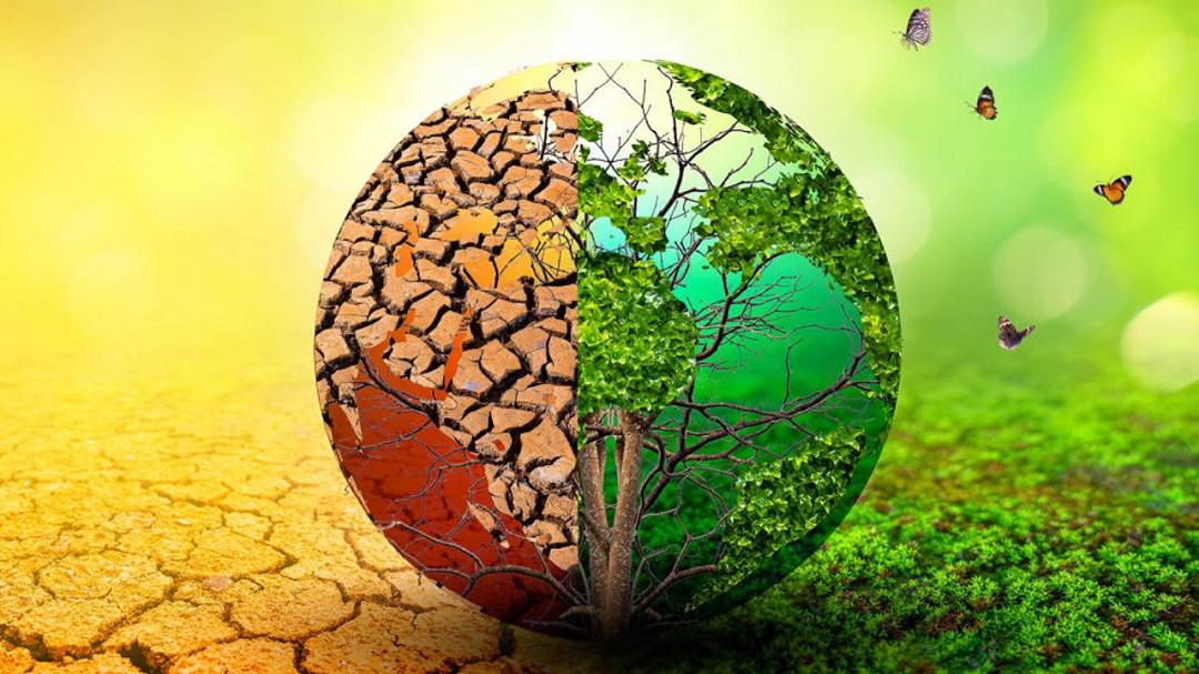 Cambiamento climatico: uno studio indaga come progettare aree marine protette