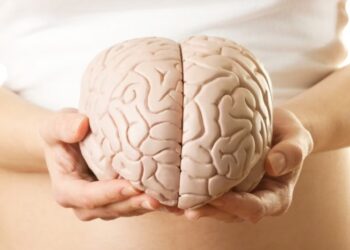 Cervello femminile: gli ormoni ne alterano alcune aree