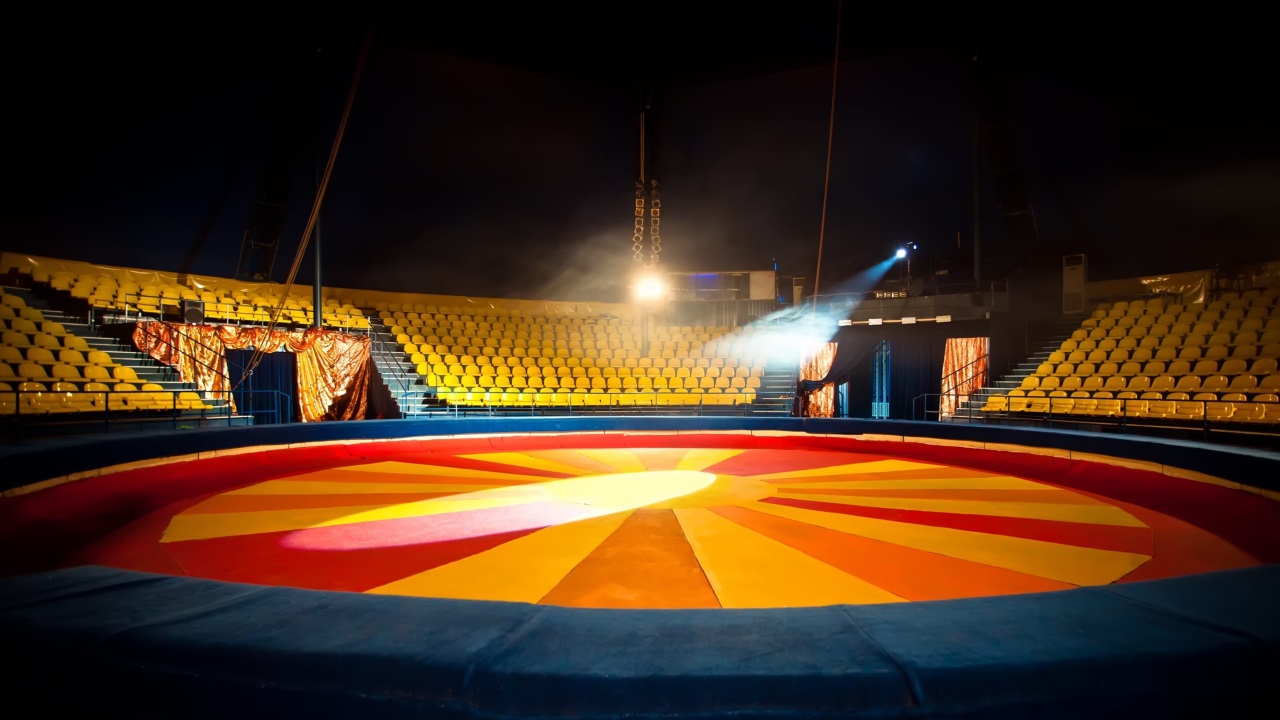 Animali nei circhi: italiani contrari, chiesta urgente attuazione della Legge Delega