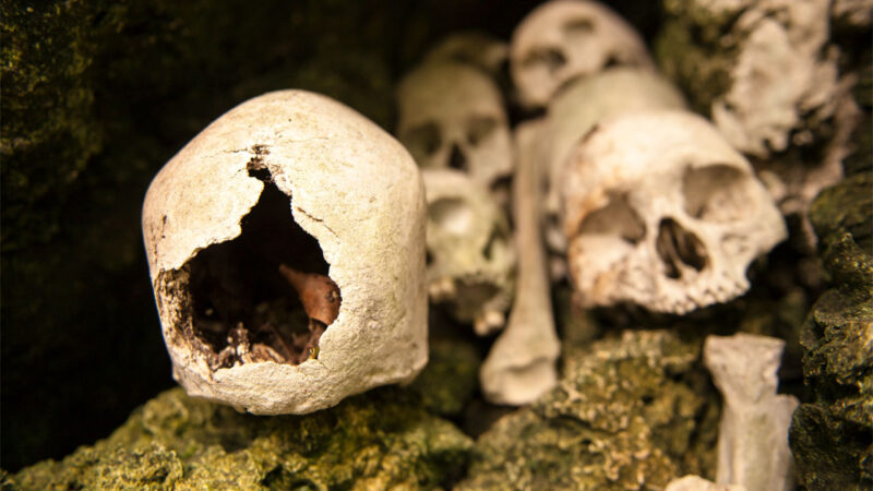 C’è stato un periodo in cui l’uomo era cannibale e un nuovo studio lo conferma