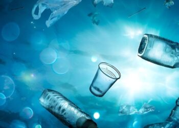 Inquinamento da PET negli oceani: i batteri geneticamente modificati lo contrastano
