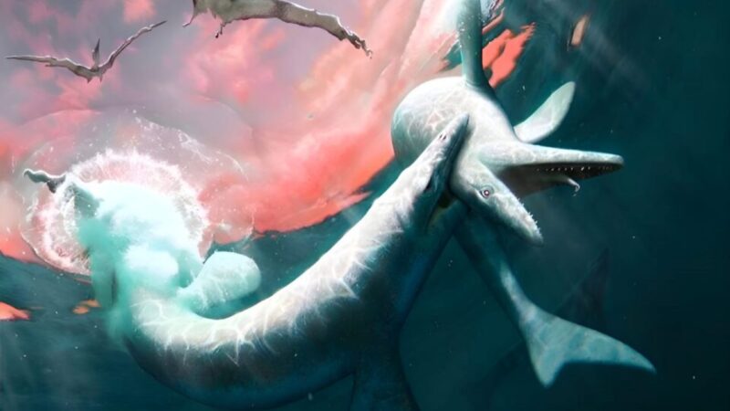 Mosasauri: la scoperta della lucertola marina Jormungandr ne rivela l’evoluzione