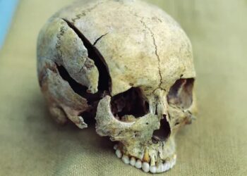 Evoluzione della violenza nell'antichità: le scoperte si basano su 3.500 scheletri in Medio Oriente