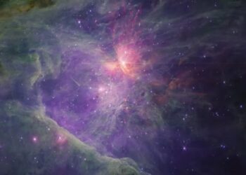 Telescopio Webb svela JuMBO: la scoperta nella Nebulosa di Orione sfida le teorie esistenti