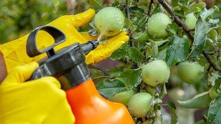 Pesticidi: l’uso eccessivo è una minaccia per l’umanità