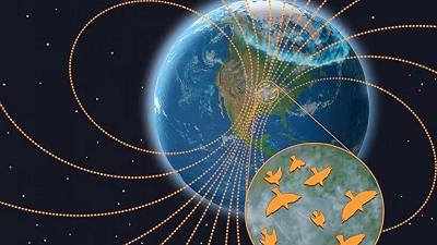 Migrazioni degli uccelli: uno studio ha valutato l’impatto delle tempeste geomagnetiche