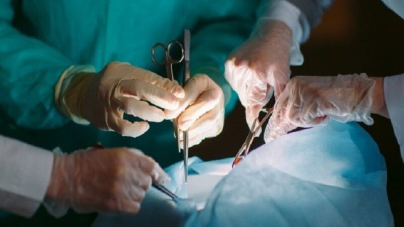 Trapianti d’organo: nuova speranza per evitare immunosoppressori e favorire la tolleranza