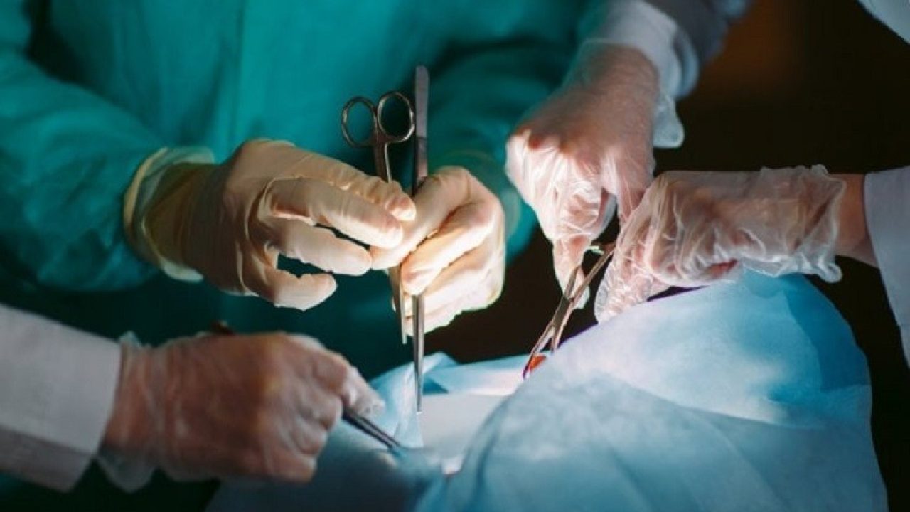 Trapianti d’organo: nuova speranza per evitare immunosoppressori e favorire la tolleranza