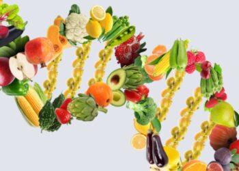 Vegetarianismo: le preferenze alimentari potrebbero derivare dalla genetica