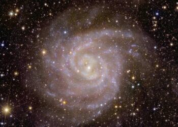 Telescopio spaziale Euclid: presentate le prime immagini inedite di galassie remote e ammassi di stelle