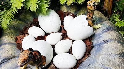 Dinosauri: nuovi dettagli emergono dall’analisi delle uova di Qianlong shouhu
