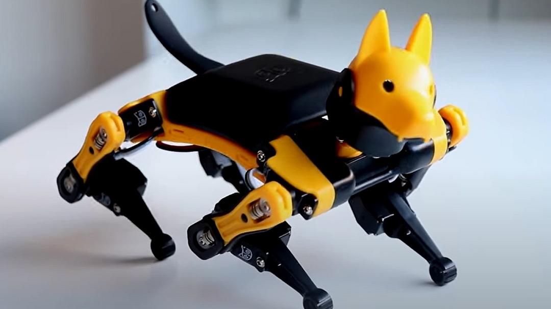 Bittle X: il robot ideale per acquisire nuove competenze e per giocare