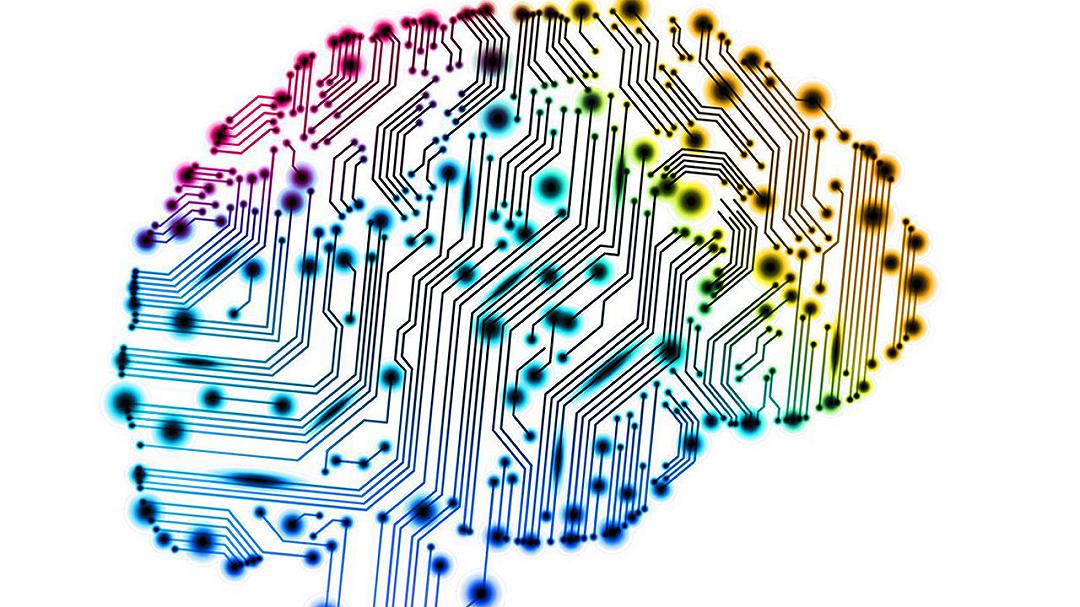 Brainoware: il primo computer biologico che sfrutta neuroni e Intelligenza Artificiale