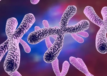 Il cromosoma artificiale che, forse, è la svolta per la lotta contro il cancro
