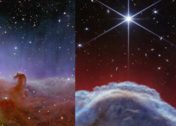 Nebulosa Testa di Cavallo: immagini inedite dal telescopio James Webb