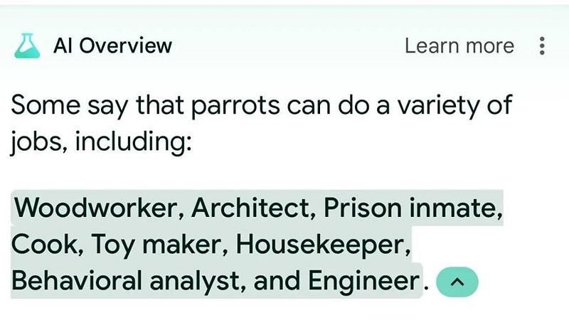 Secondo l'intelligenza artificiale di Google, i pappagalli sono degli eccellenti lavoratori. Si tratta ovviamente di un clamoroso errore.