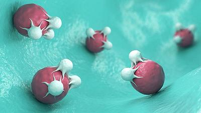 Nanorobot hanno la capacità di distruggere le cellule tumorali: ecco come agiscono