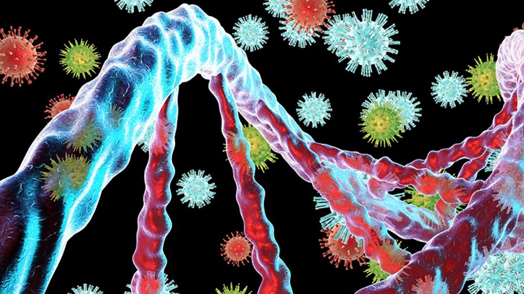 I virus potrebbero aver avuto un ruolo importante nell’evoluzione del genere umano