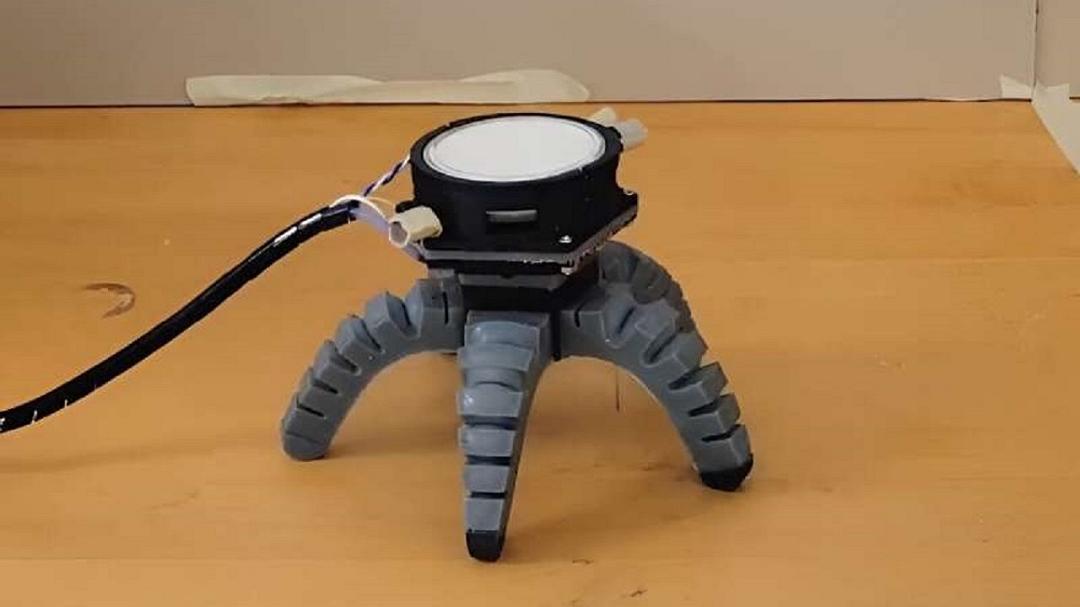 I ricercatori hanno coltivato un fungo all’interno di un robot per il controllo dei movimenti