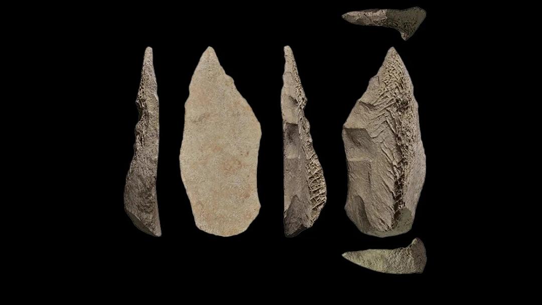 Scoperta la prima punta di lancia ossea realizzata dall’uomo di Neanderthal 50.000 anni fa