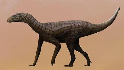 Rinvenuti i fossili di un antenato dei dinosauri: sensazionale scoperta in Sud America