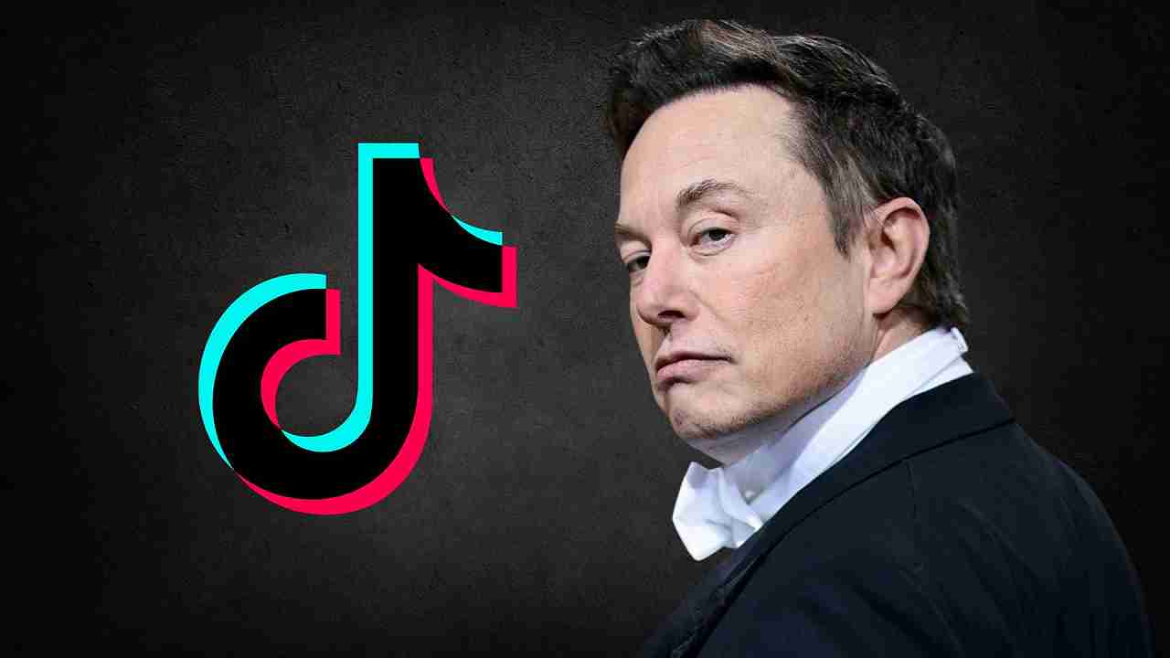 Elon Musk TikTok