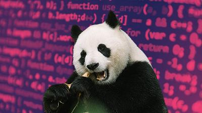 Cosa c’è da sapere su Toxic Panda, il nuovo pericoloso malware per Android